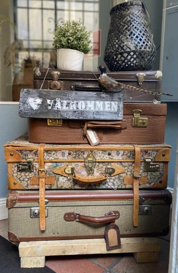Bett im 4-Bett-Schlafsaal
