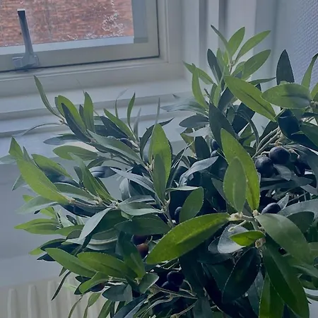 Lilla Brunn-2